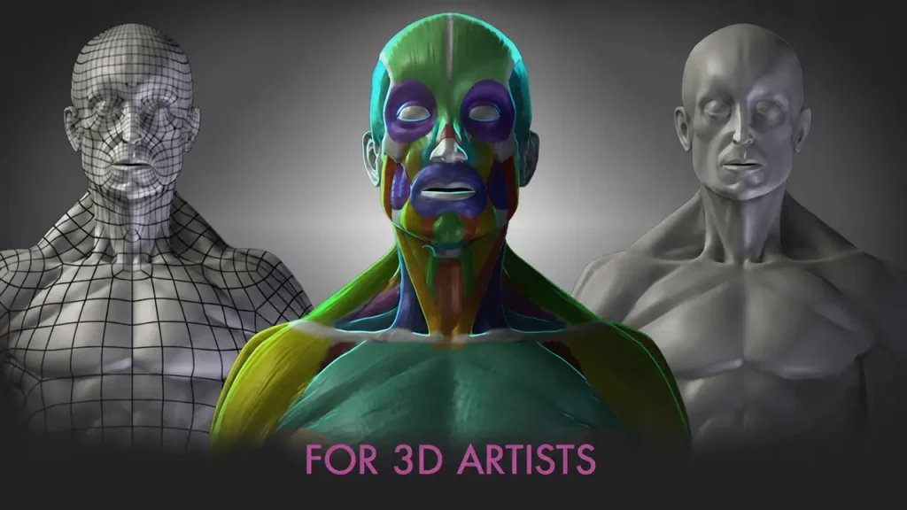 面向三维艺术家的人体解剖学课程1Li-Digital Art Education1Li