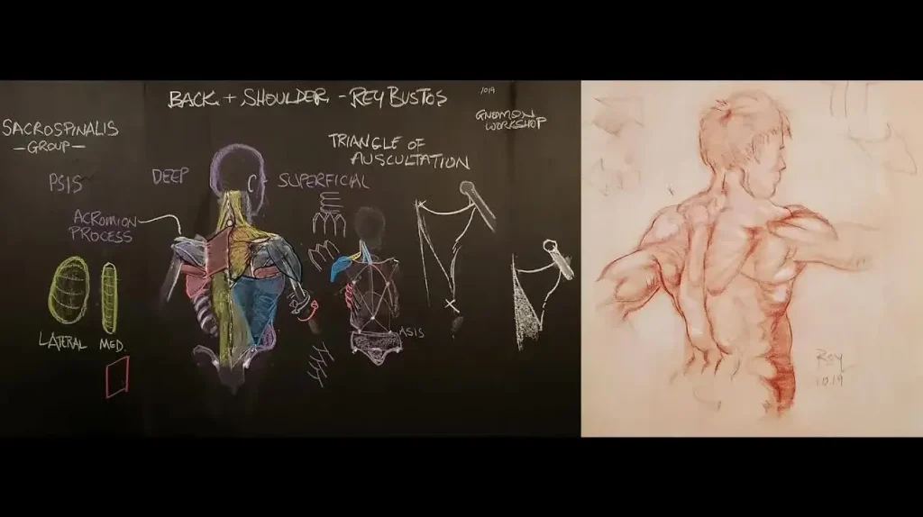 The Gnomon Workshop - 艺术家解剖学（第一卷）1Li-Digital Art Education1Li